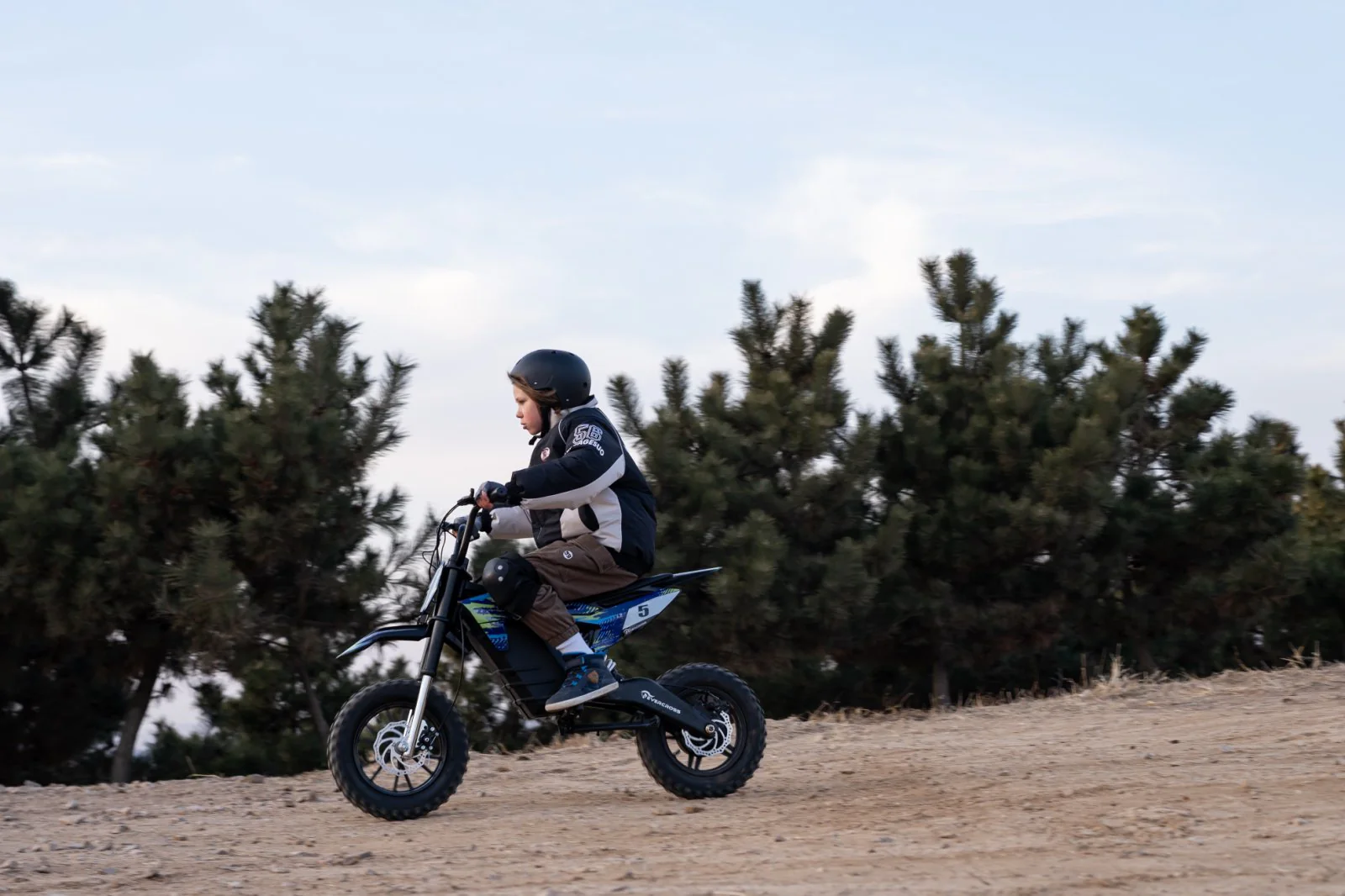 EVERCROSS EV65M 12+ Elektrisches Geländemotorrad - Image 9